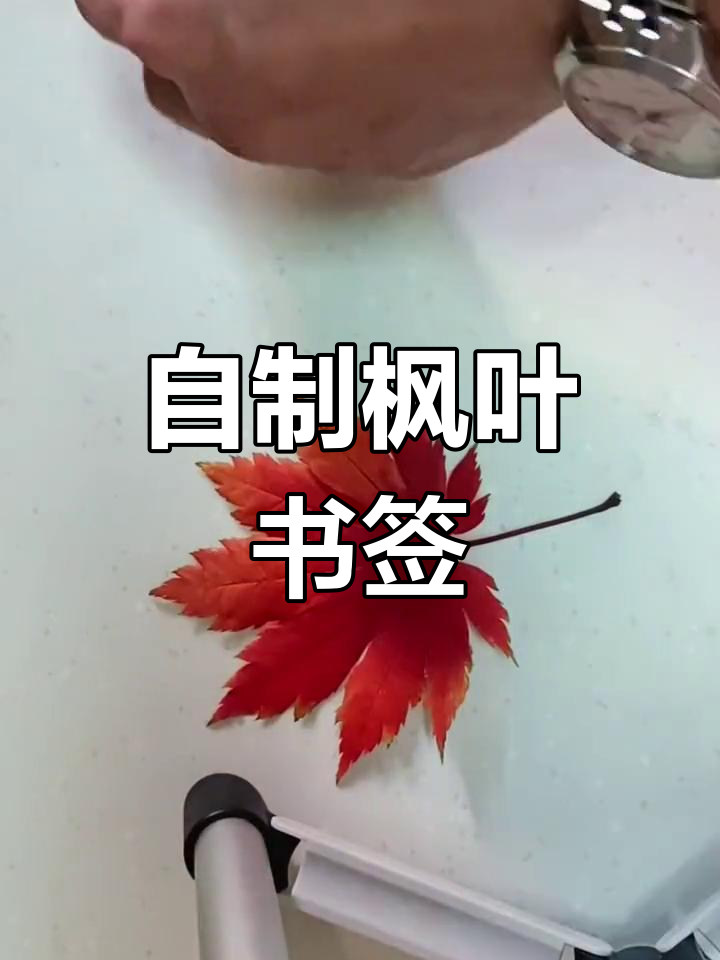 枫叶书签手工制作教程