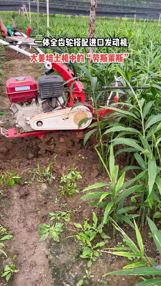 开沟培土机 大姜培土机 生姜培土机 大姜种植机械 农业机械-度小视