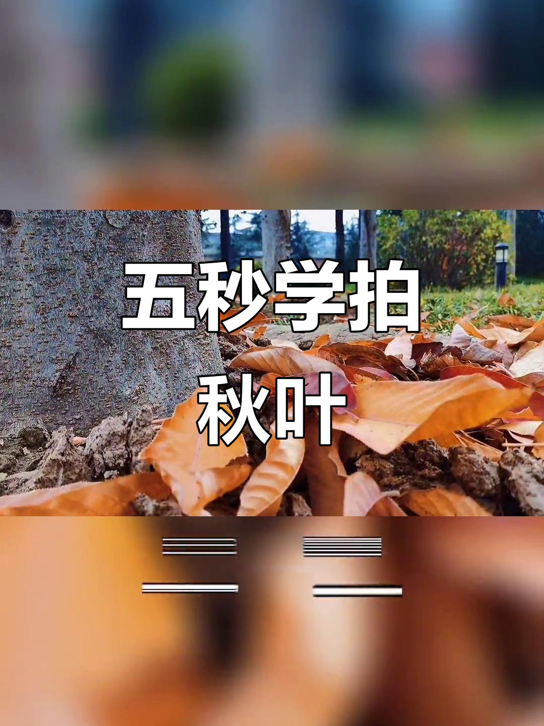 秋天摄影拍摄技巧教程，技巧大全