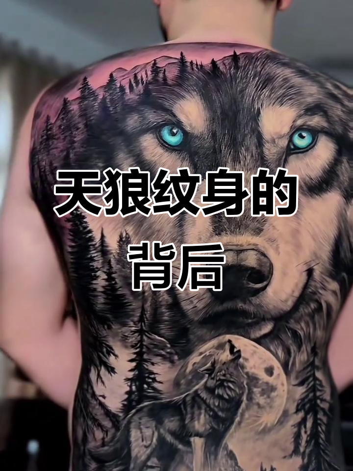 月下孤影,天狼啸月:纹身师背后的故事