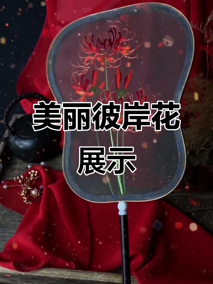 彼岸花之美,古风团扇带你欣赏