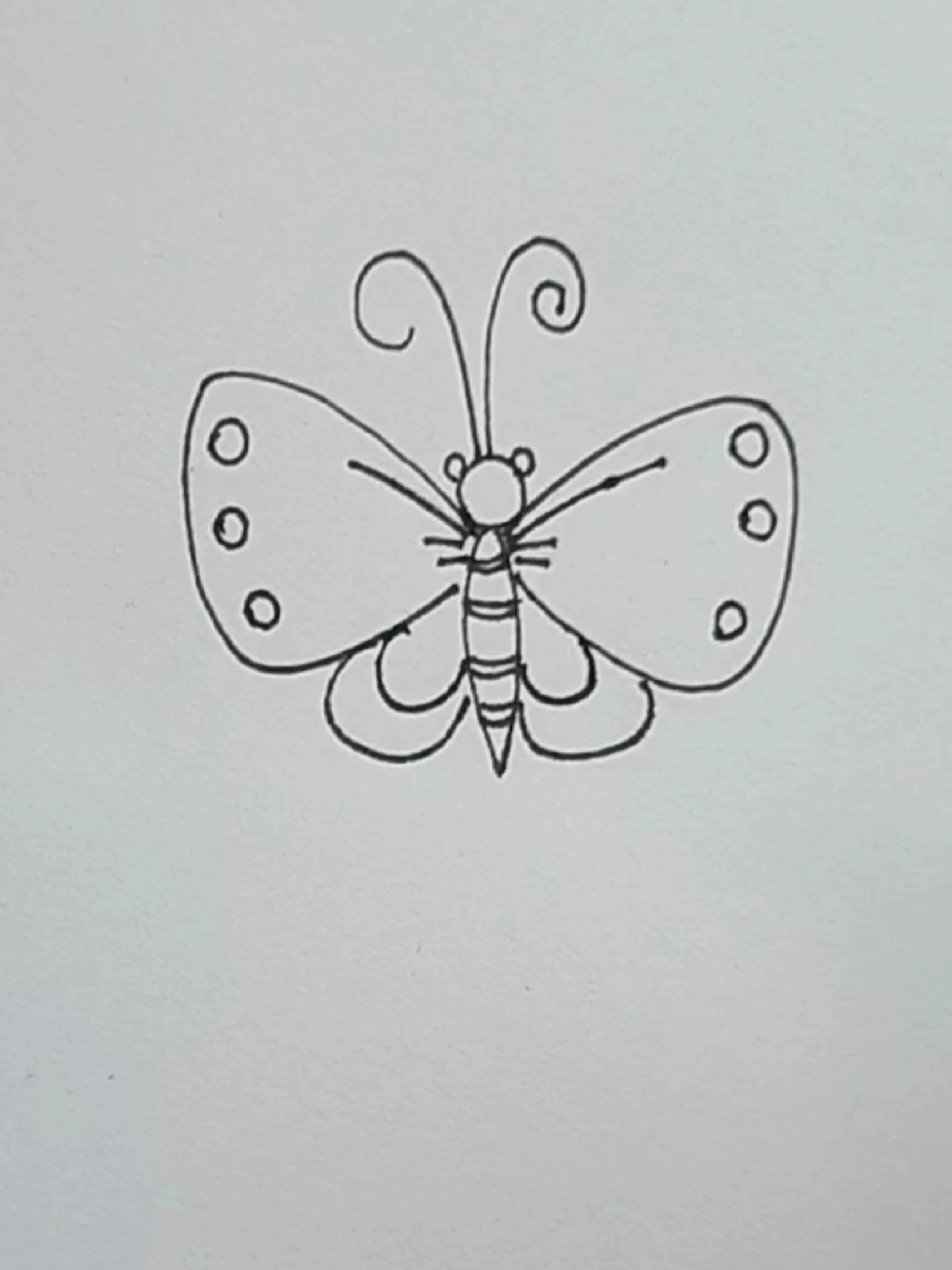 画画简笔画蝴蝶绘画过程儿童简笔画一学就会