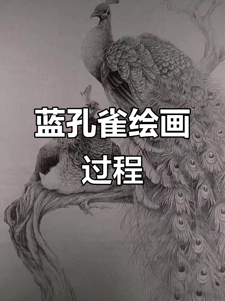 蓝孔雀绘制技巧与细节揭秘