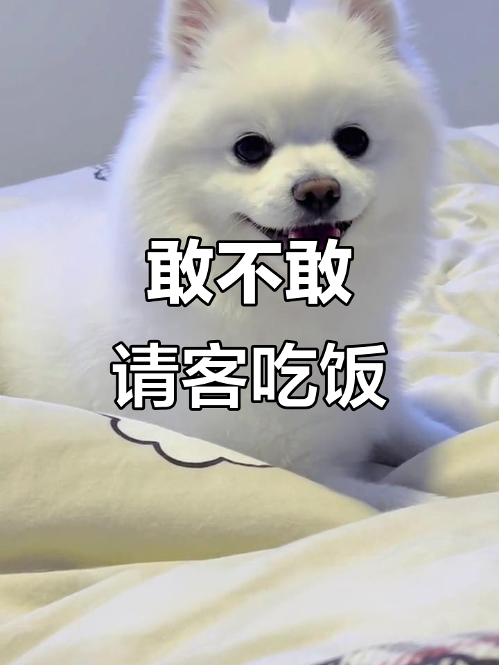 你是不是想请我吃饭?别不好意思开口!