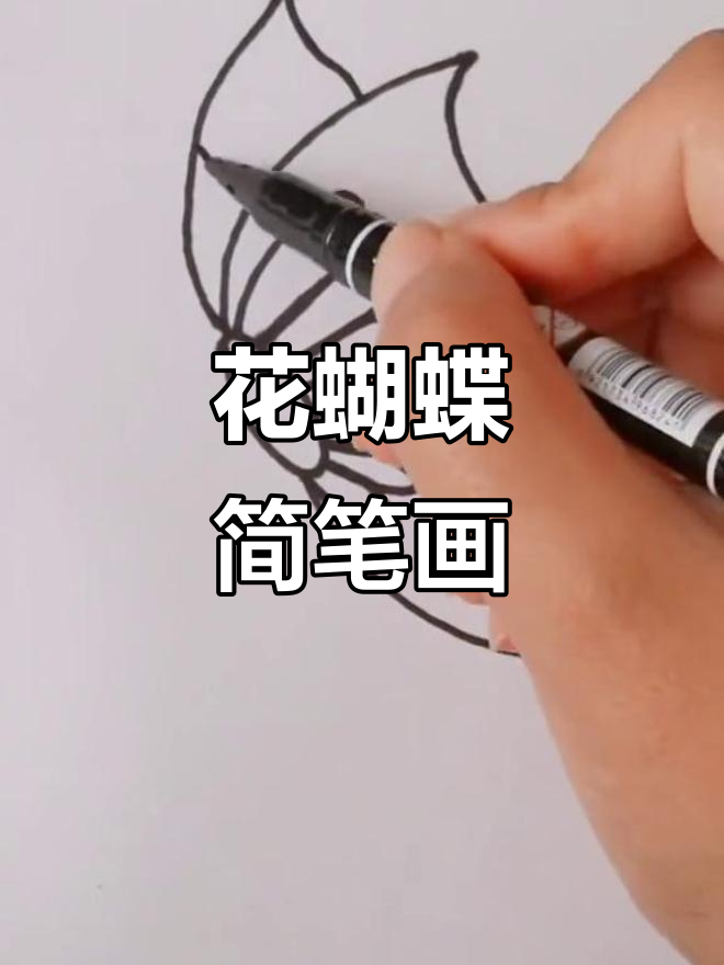 轻松学画花蝴蝶,简单又有趣
