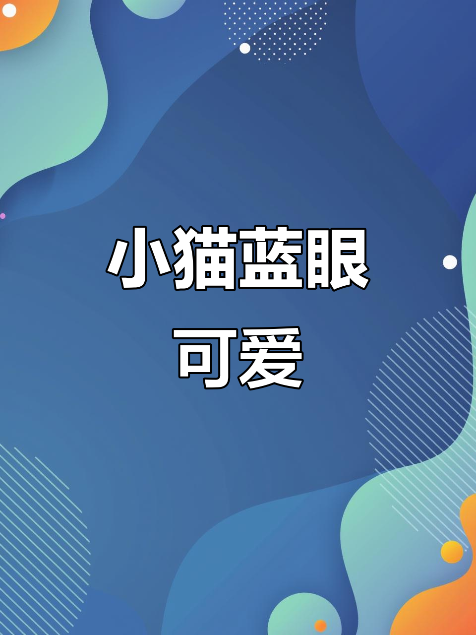 蓝色眼睛小猫萌态十足,鸡蛋床温暖过冬