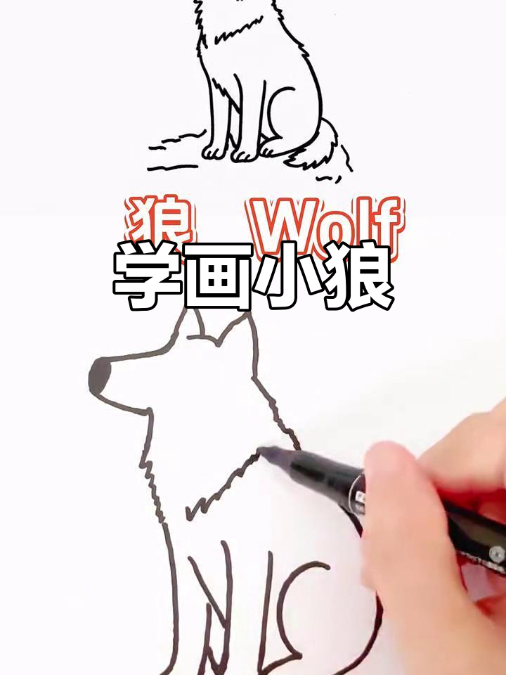 轻松学画可爱狼,简单又有趣