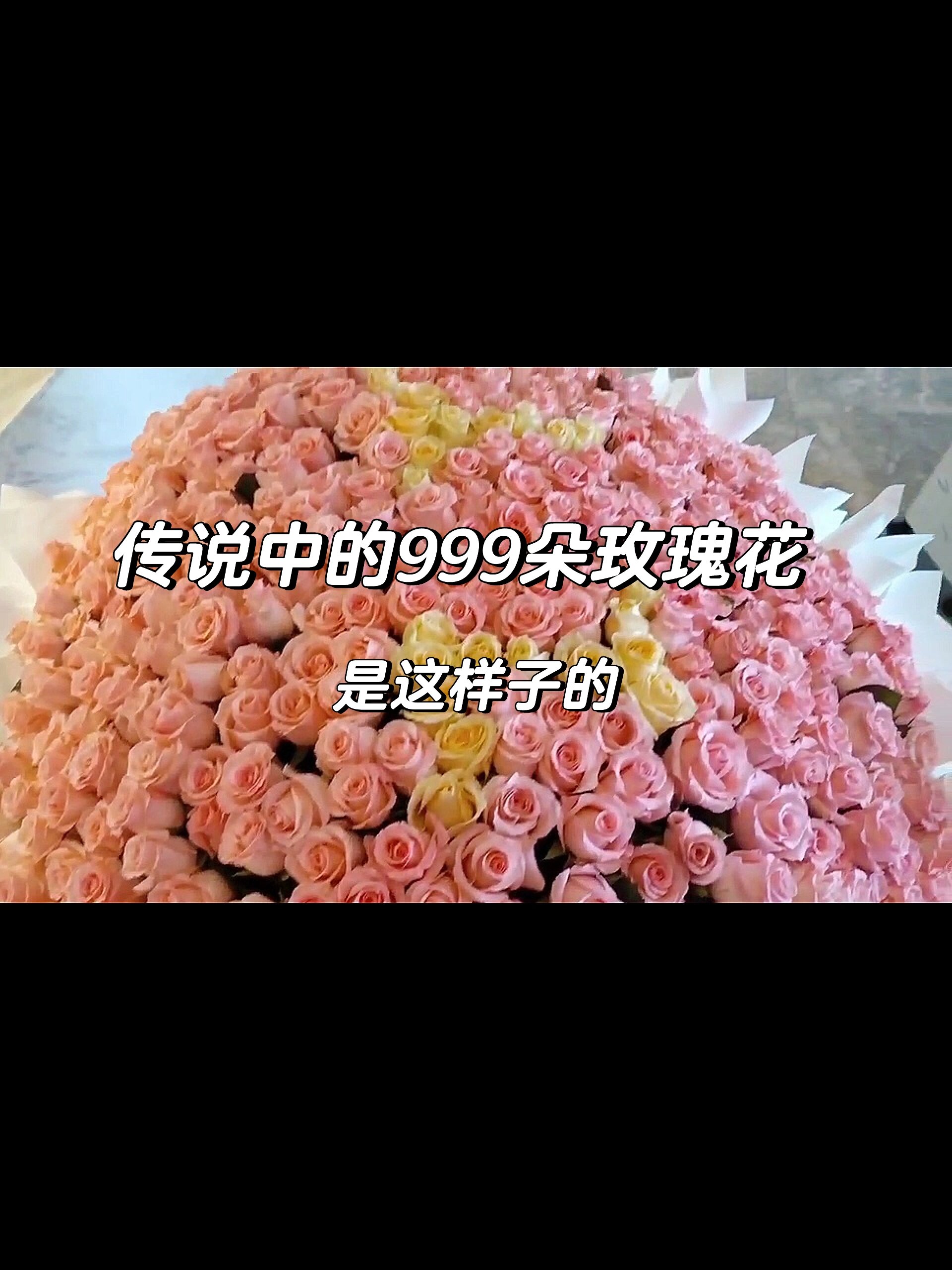 传说中的999朵玫瑰花,到底有多大
