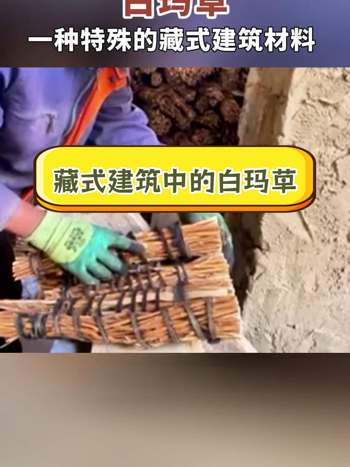白玛草:藏式建筑的独特材料