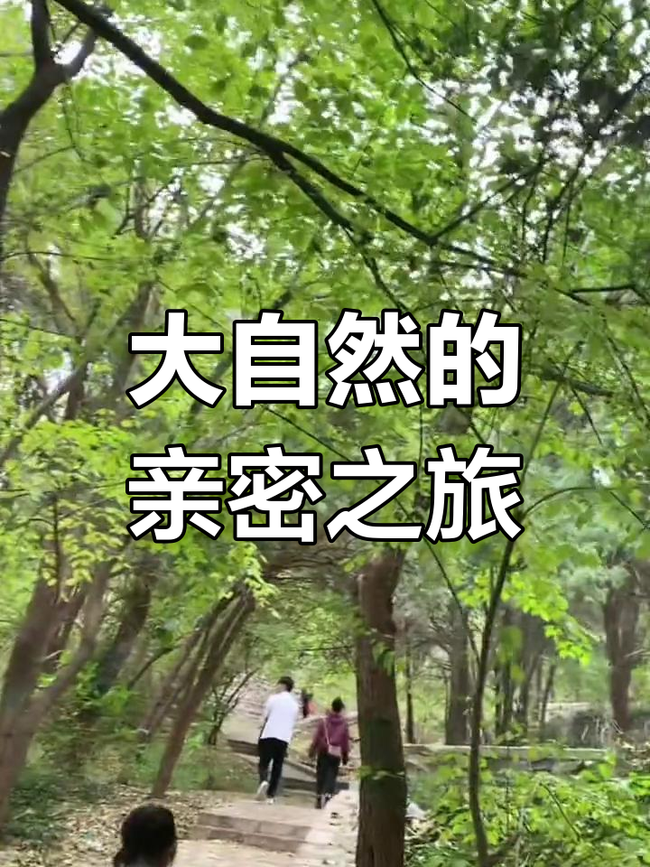 走进大自然,感受宁静与美好