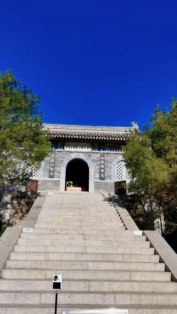 昌平延壽寺,始建於遼金.800年的盤龍松 600年的鳳凰松-度小視