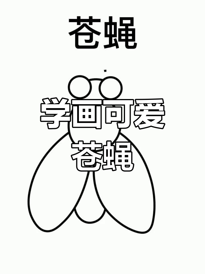 简单几步画出苍蝇