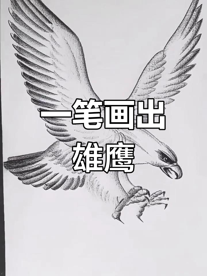 轻松画出雄鹰展翅,技巧大揭秘