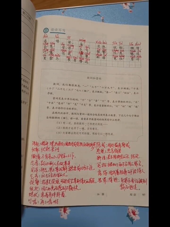 七年级语文《猫》字词