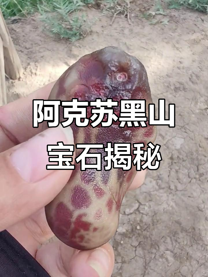 新疆阿克苏黑山筋脉石与玛瑙的魅力之旅