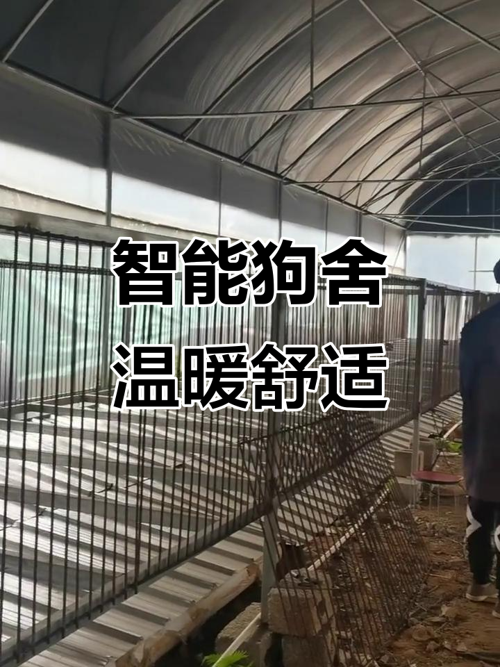 广西土猎犬舍设计:冬暖夏凉,通风透气,粪便自动清理