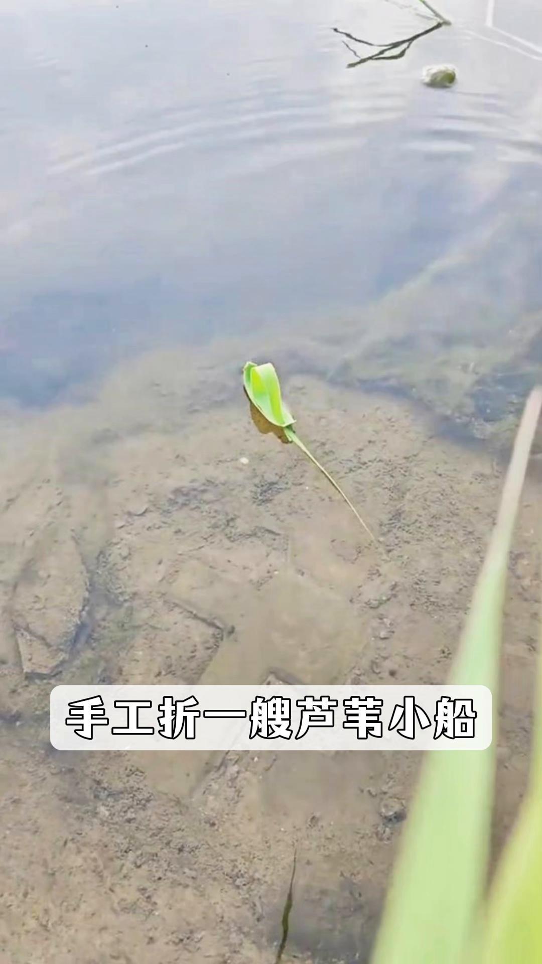 手工折一艘芦苇小船