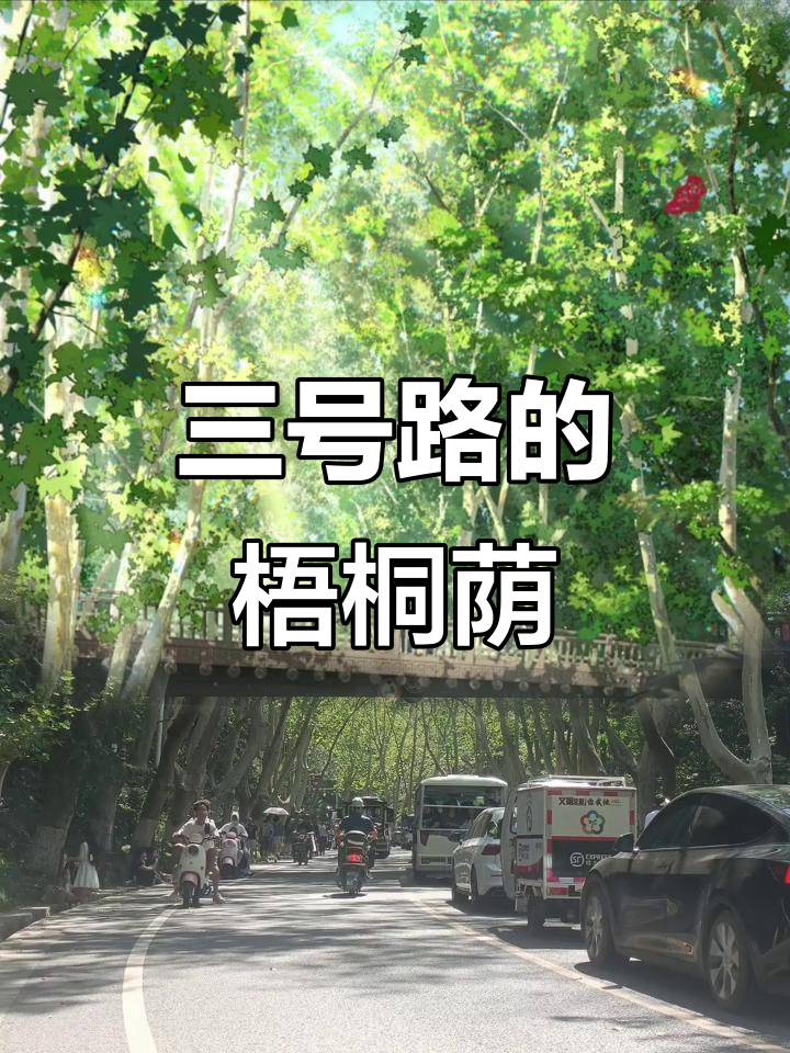 南京三号路,梧桐大道的尽头与繁华