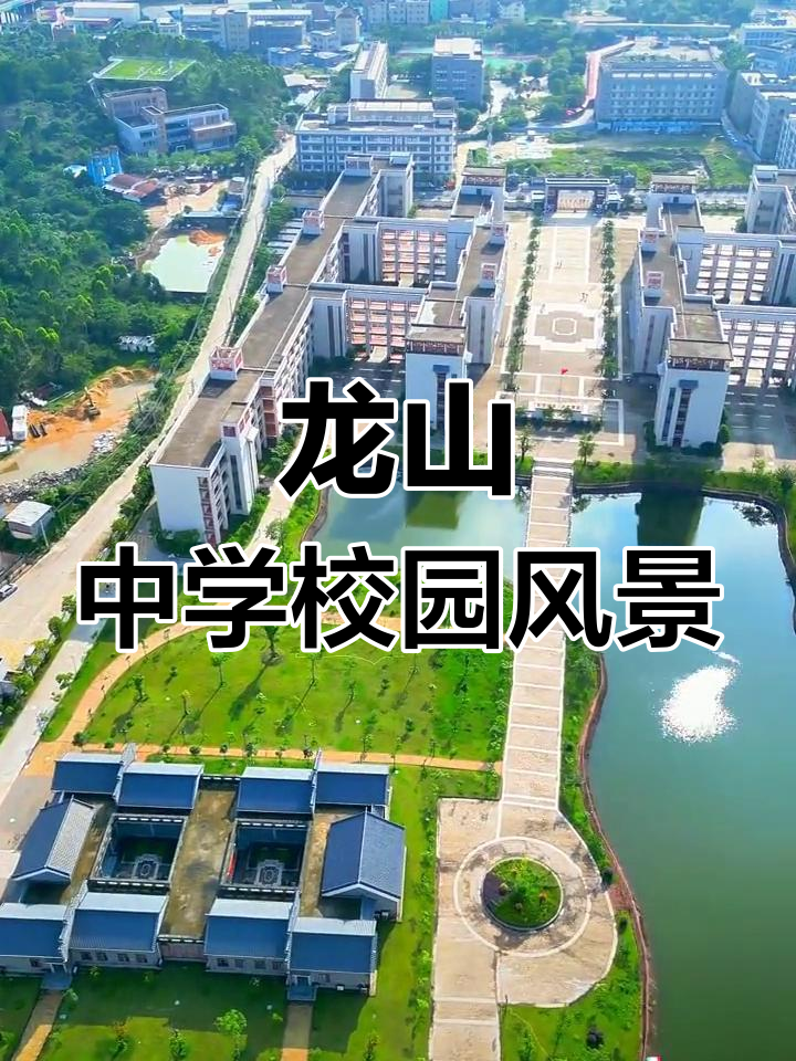 陆丰市龙山中学的校花图片