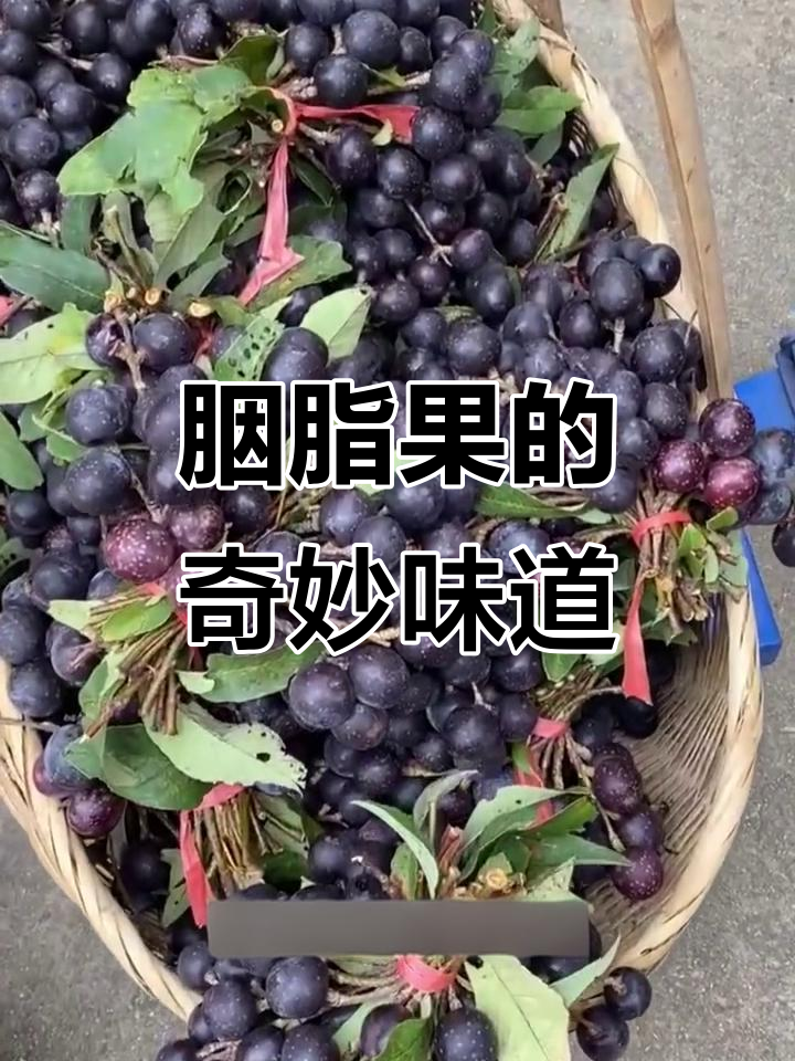 云南胭脂果,酸甜可口,多种吃法让人欲罢不能!