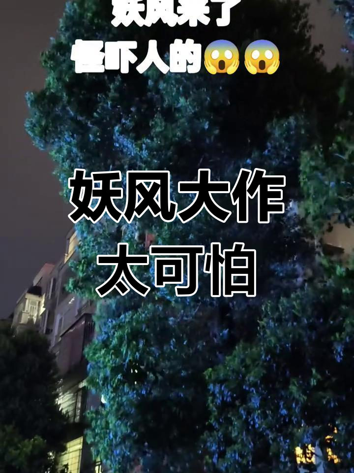 3月27日妖风来袭,呼呼声吓坏路人