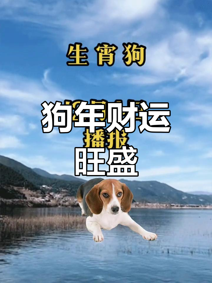 晚上8点出生的生肖狗运势(属狗晚上八点出生的命)