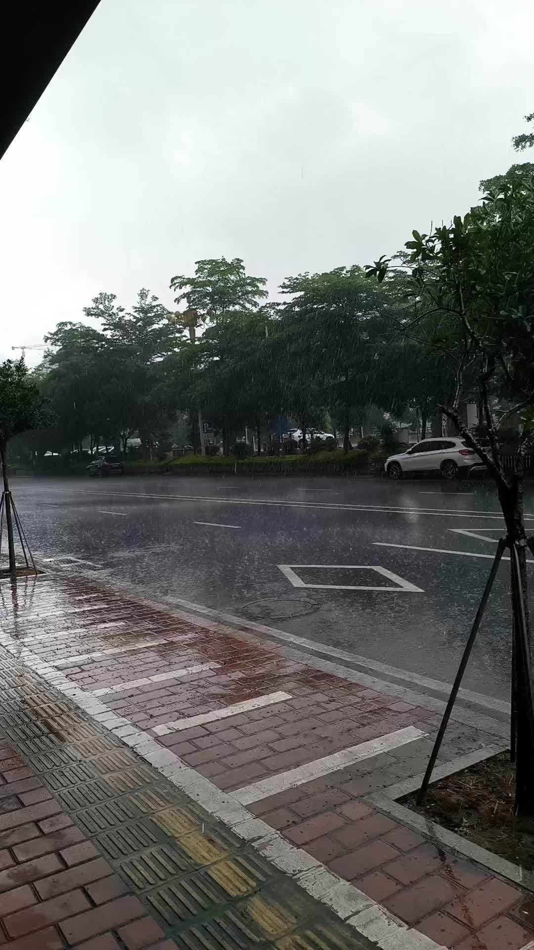 雨下的那么认真 下雨天你带伞了吗 雨中看雨 站在飘雨的街头 愿你天黑