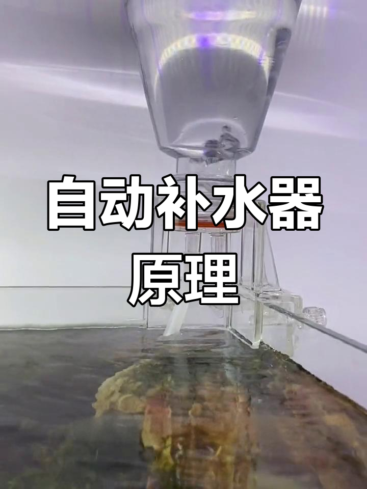 鱼缸工作原理图片