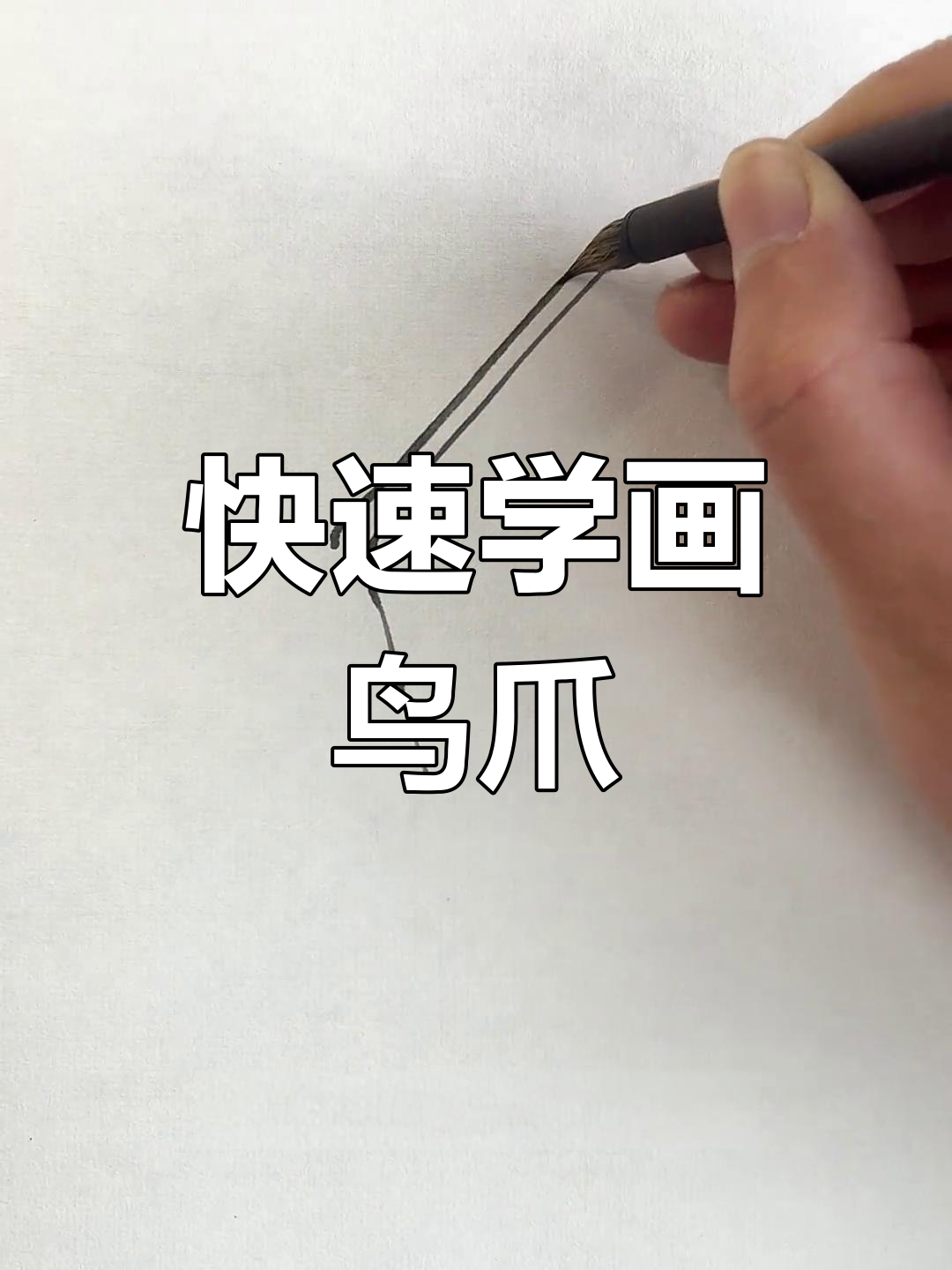 一分钟学会画鸟爪,简单步骤教你画出锋利爪子