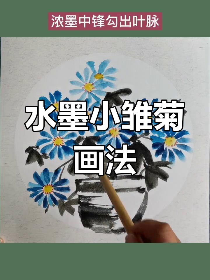 国画雏菊画法步骤图片