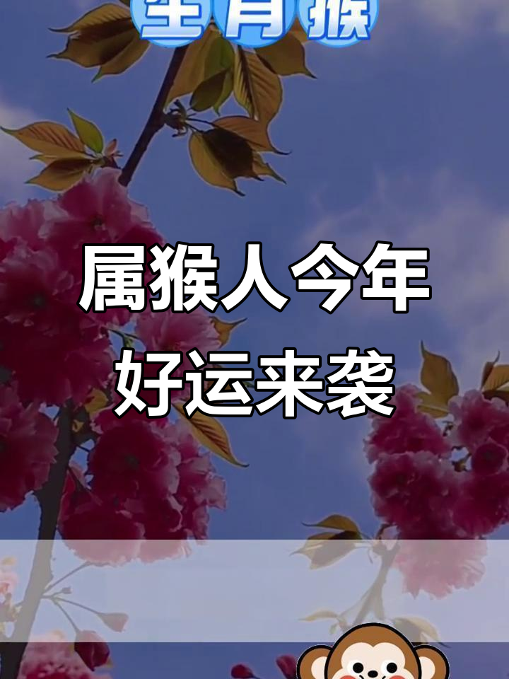 2025生肖猴逐月运势(生肖猴2025年运势)