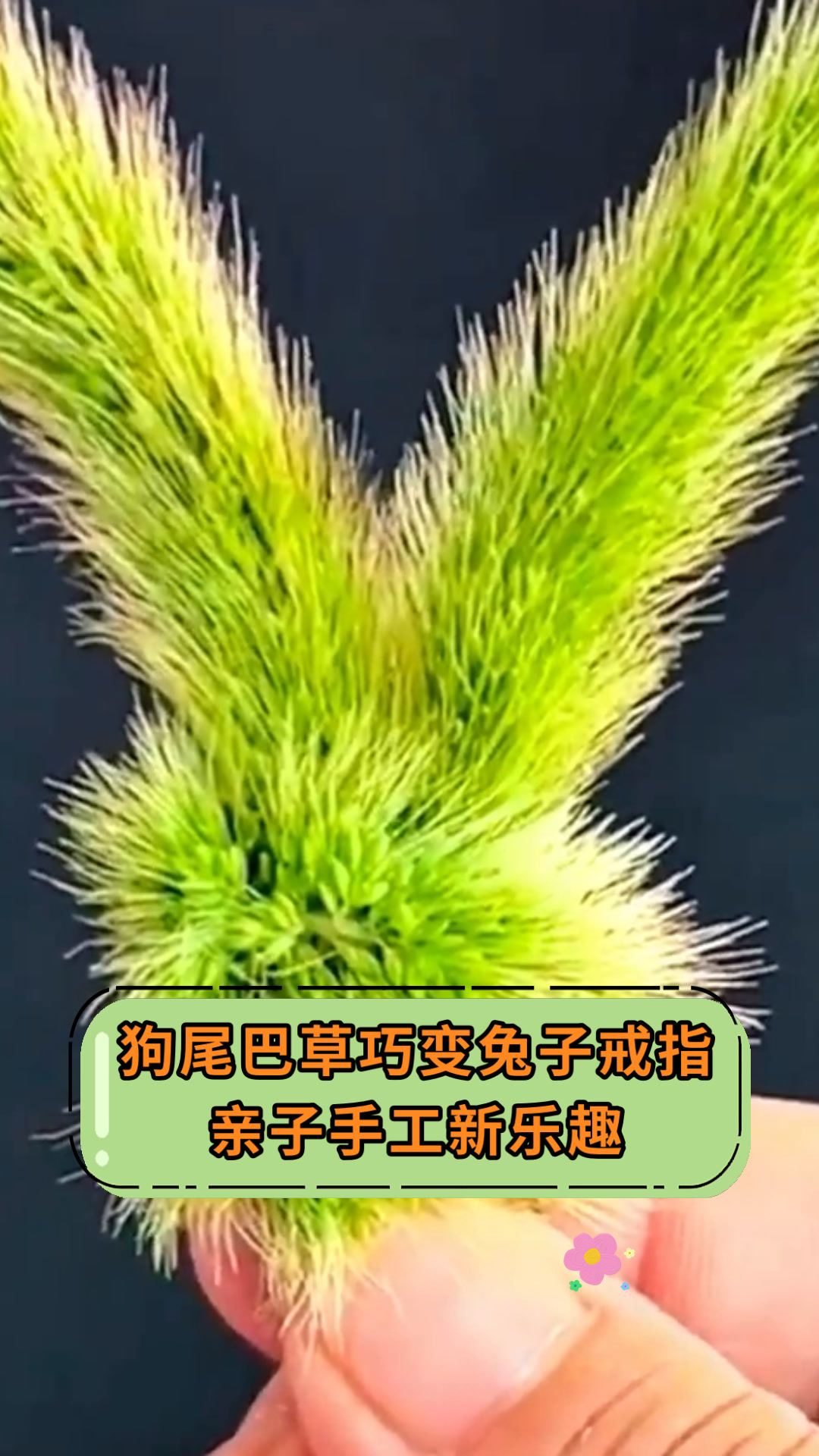 狗尾巴草巧变兔子戒指亲子手工新乐趣