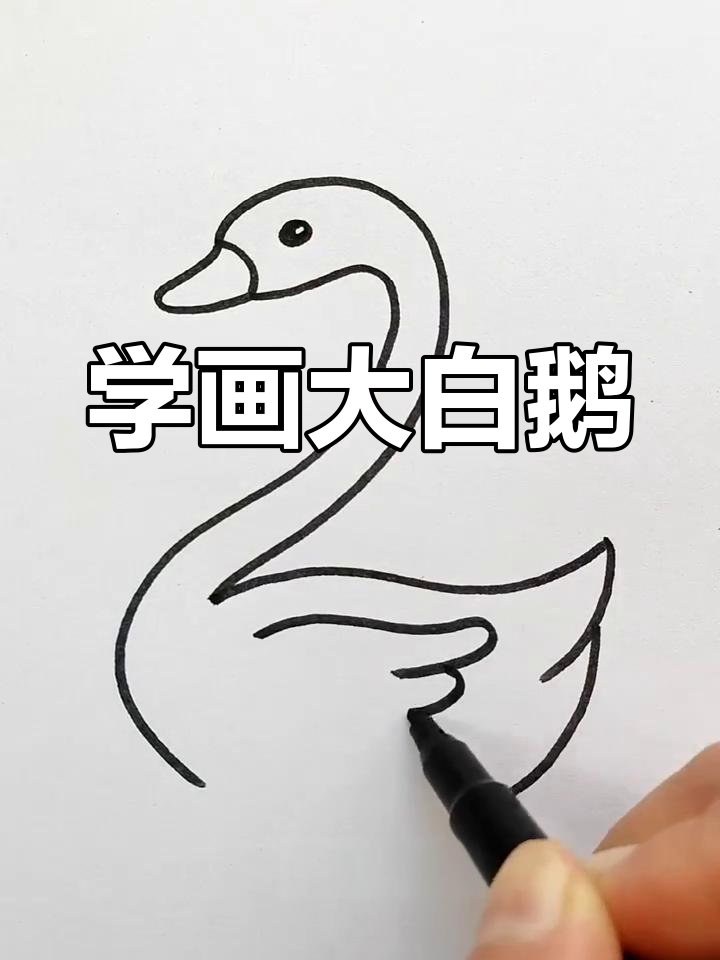 轻松学画大白鹅,简单又有趣!