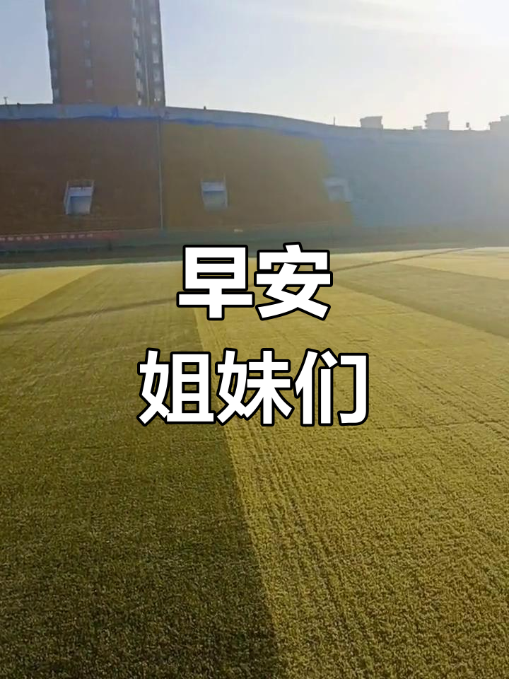 姐妹们,早上好!一起迎接美好的一天