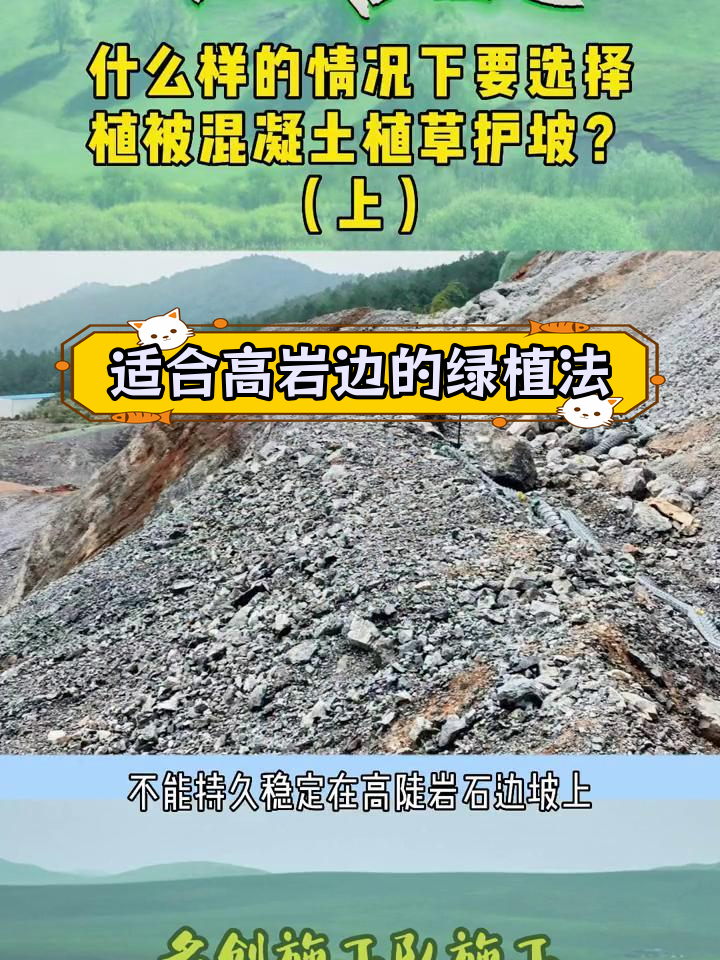 植被混凝土技术:适用于陡峭岩石边坡的绿化方案