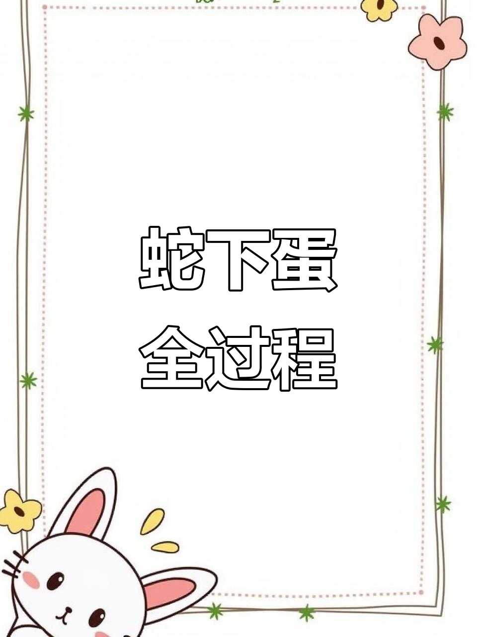 罕见蛇蛋孵化过程,珍贵视频不容错过