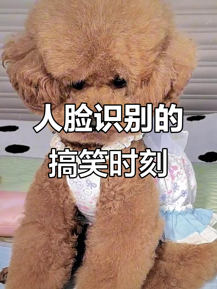 逗趣人脸识别挑战,表情萌翻了!