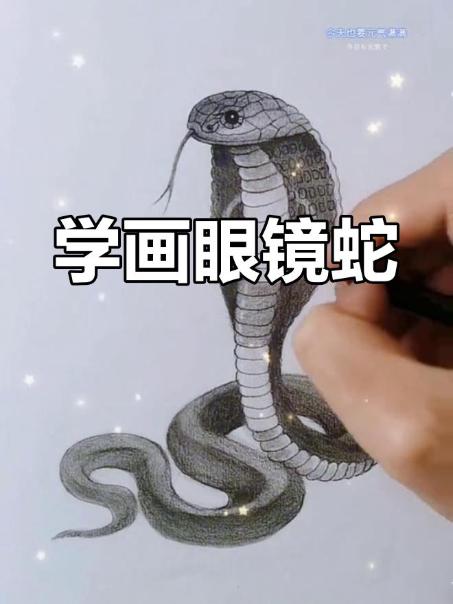 轻松画出可爱眼镜蛇,步骤简单又有趣