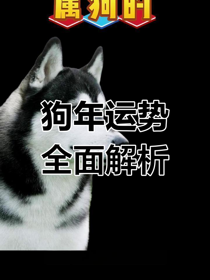 生肖狗8运势如何(属狗八月运势2021)