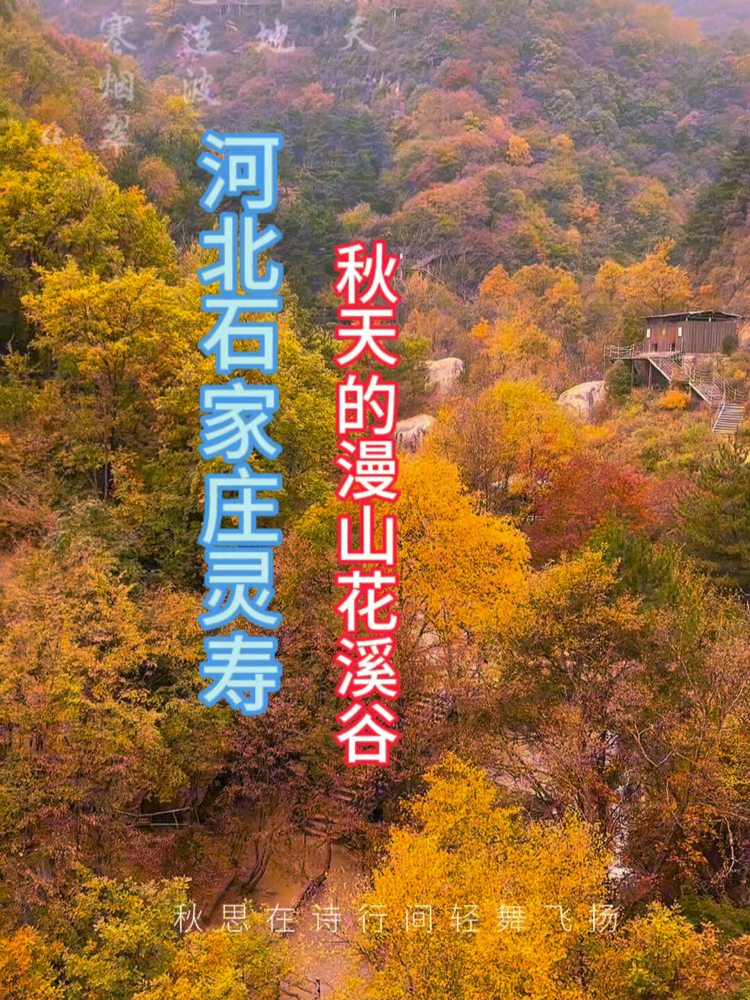 石家庄漫山花溪谷免费时间到10月23日
