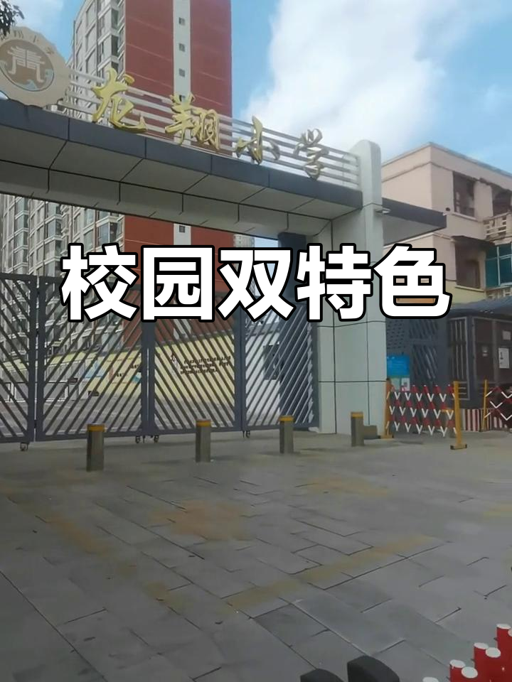 龙翔小学成为全国足球与人工智能特色学校