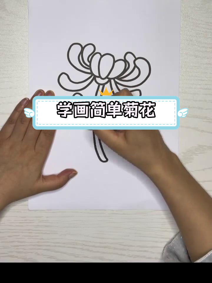 霜降节气菊花简笔画教程