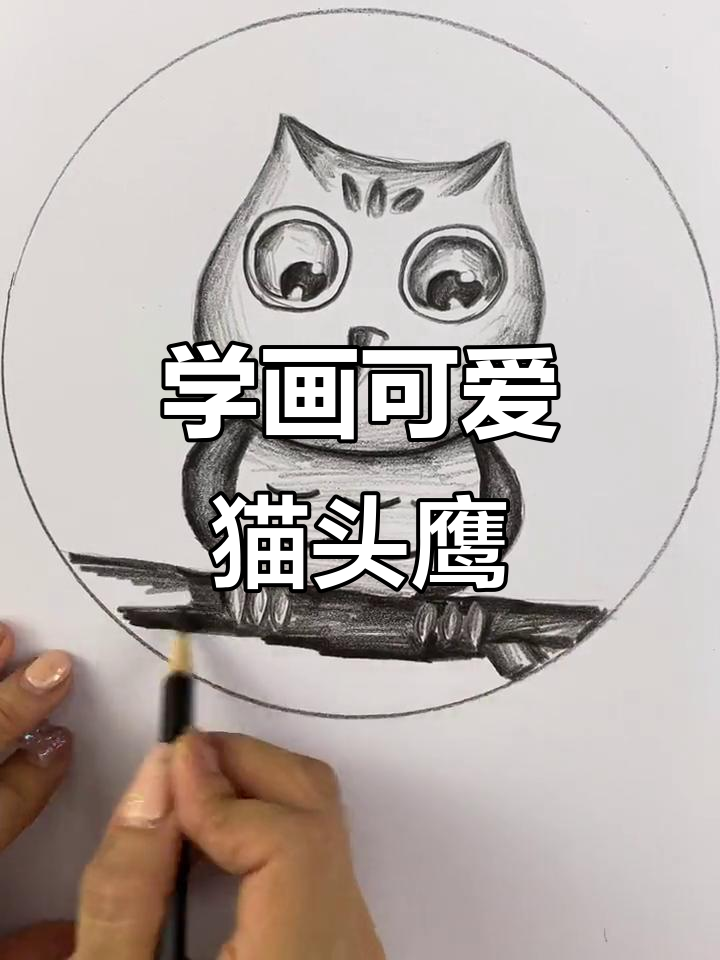 素描猫头鹰教程:从耳朵到翅膀的绘制技巧