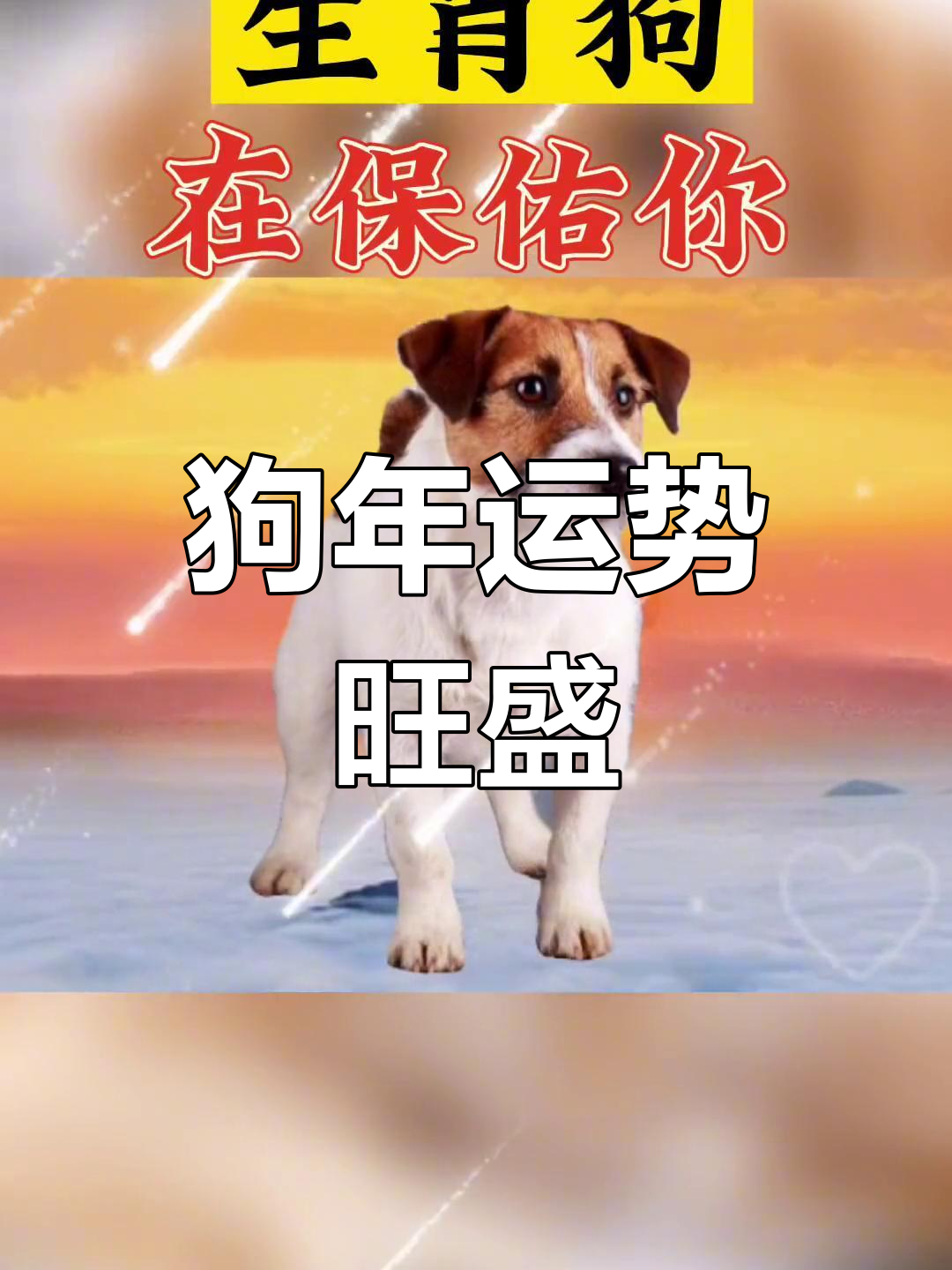 生肖在下半年运势(生肖在下半年运势如何)