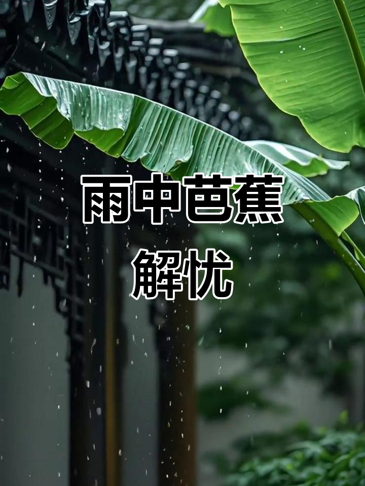 雨打芭蕉,声声敲落忧愁