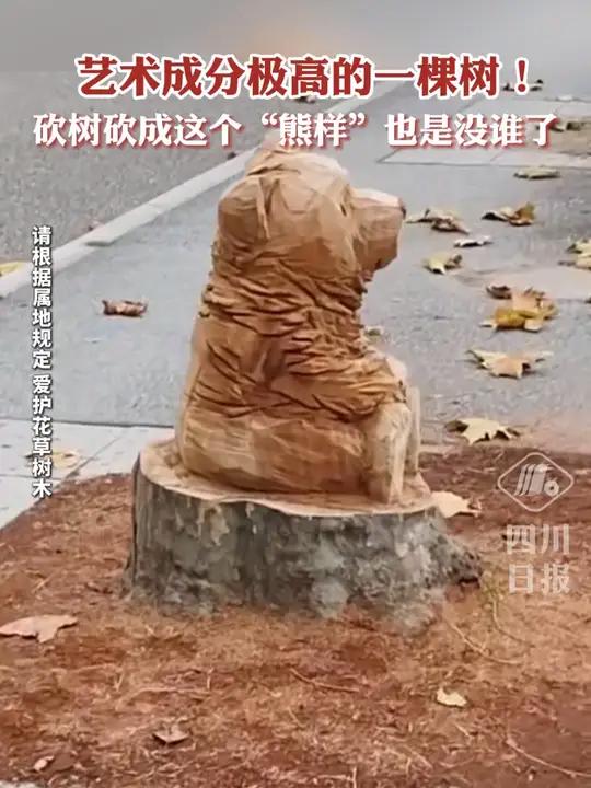 熊出没树复活图片