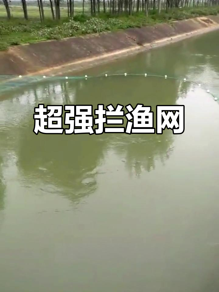 超大拦鱼网,急流中捕捞无压力