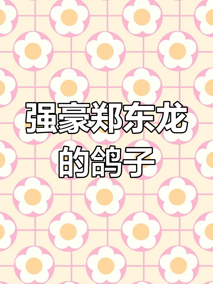 郑东龙赛鸽:海峡公棚的强豪之选