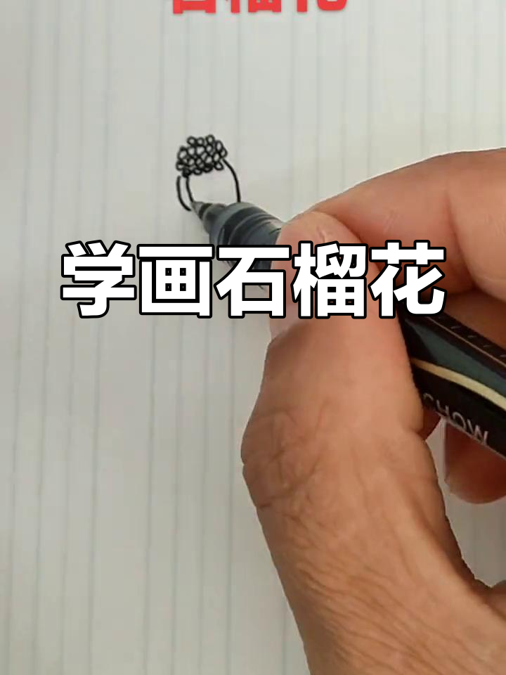简单易学的石榴花简笔画教程