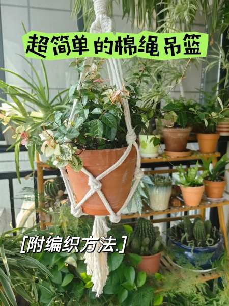 有手就会的棉绳吊篮编织方法-度小视